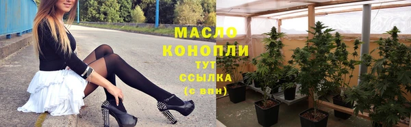 мдпв Горно-Алтайск